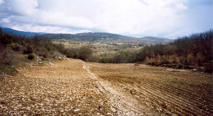 Vigna - In principio erat